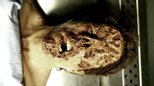 CSI: NY - S5E7: Dead Inside