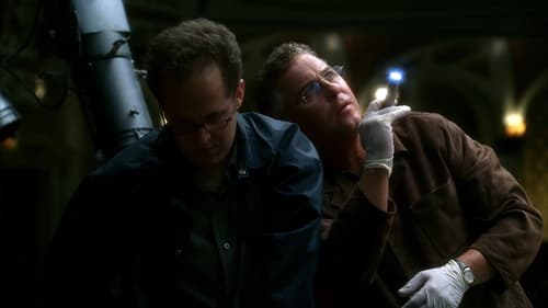 CSI: Crime Scene Investigation - S13E4: It Was a Very Good Year