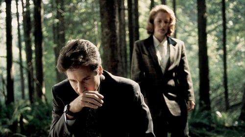 The X-Files - S1E4: Conduit