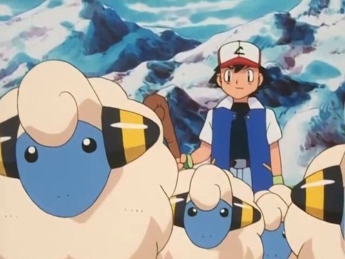 Pokémon - S3E23: Mild 'n Wooly