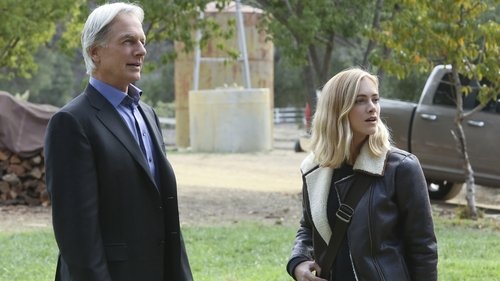 NCIS - S13E10: Blood Brothers