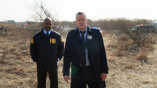 Blue Bloods - S6E20: Down the Rabbit Hole