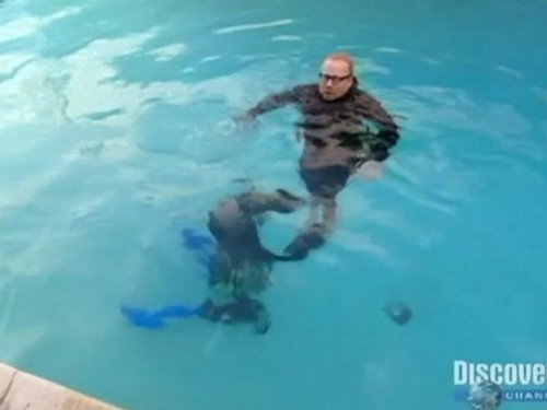 MythBusters - S4E13: Whirlpool/Snowplow