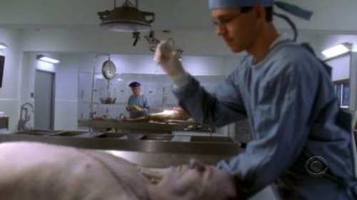 NCIS - S3E19: Iced
