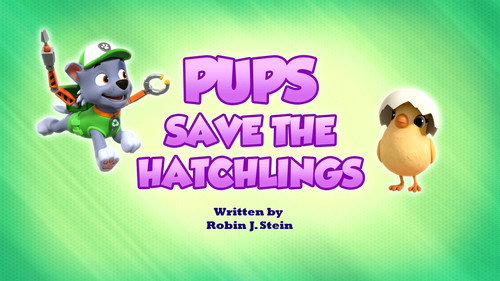 PAW Patrol - S9E38: Pups Save the Hatchlings