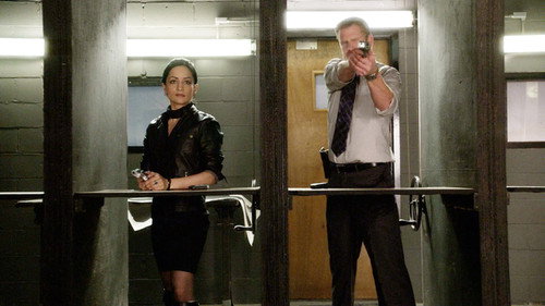 The Good Wife - S1E11: Infamy