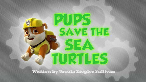 PAW Patrol - S1E5: Pups Save the Sea Turtles