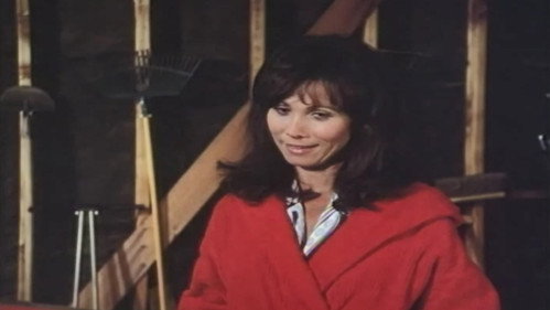 Knots Landing - S1E10: Small Surprises