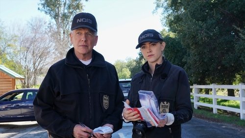 NCIS - S17E17: In a Nutshell