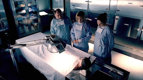 CSI: Crime Scene Investigation - S1E21: Justice is Served