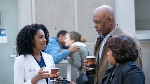 Grey's Anatomy - S14E15: Old Scars, Future Hearts