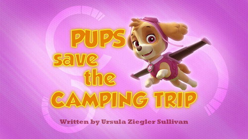 PAW Patrol - S1E46: Pups Save the Camping Trip