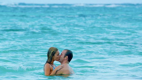 Hawaii Five-0 - S5E16: Nānahu (Embers)