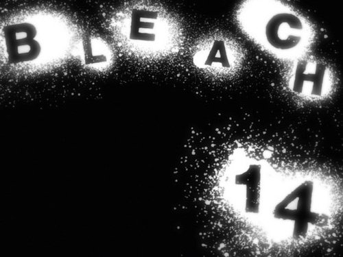 Bleach - S1E14: Back to Back, a Fight to the Death!