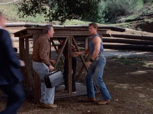 Quincy, M.E. - S8E21: Suffer the Little Children