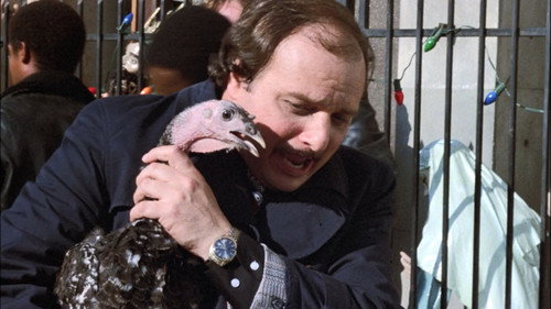 Hill Street Blues - S6E10: The Virgin and the Turkey