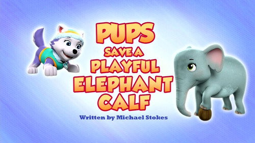 PAW Patrol - S9E21: Pups Save a Playful Elephant Calf