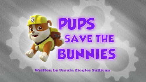 PAW Patrol - S1E13: Pups Save the Bunnies