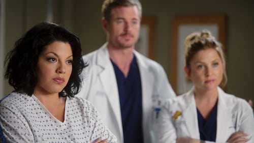 Grey's Anatomy - S7E13: Don't Deceive Me (Please Don't Go)