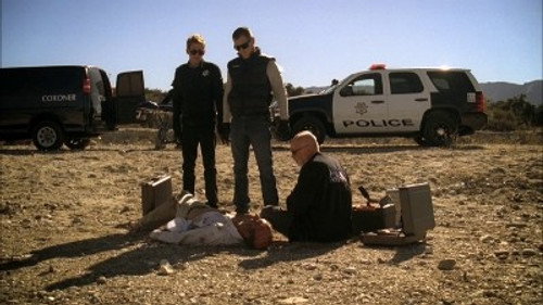 CSI: Crime Scene Investigation - S11E12: A Kiss Before Frying
