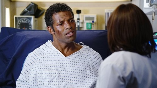 Grey's Anatomy - S11E12: The Great Pretender