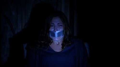 Criminal Minds - S9E10: The Caller