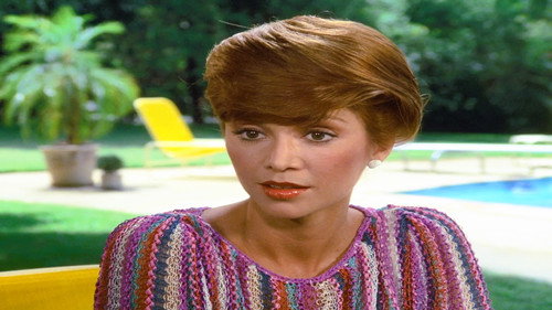 Dallas - S6E12: Barbecue Three