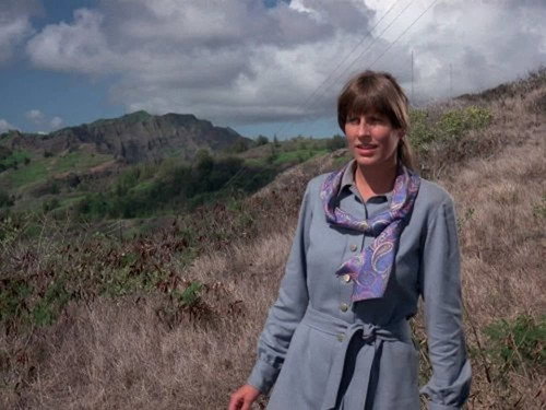Hawaii Five-O - S8E20: Turkey Shoot At Makapuu