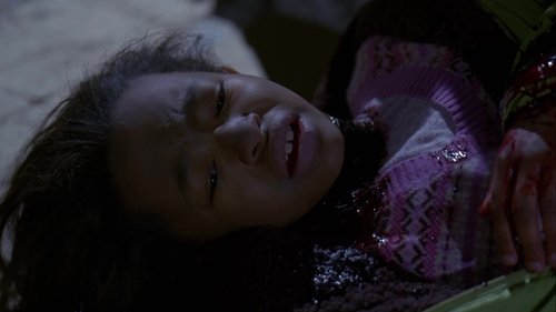 Law & Order: Special Victims Unit - S10E17: Hell
