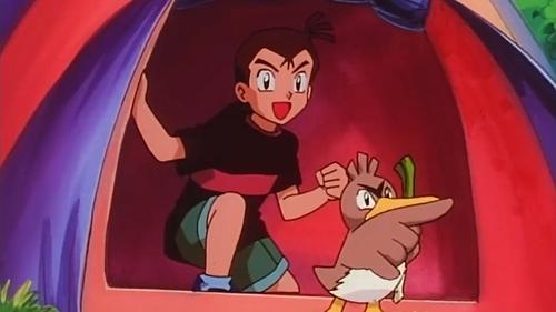 Pokémon - S1E49: So Near, Yet So Farfetch'd