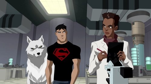 Young Justice - S1E22: Agendas