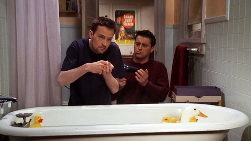 Friends - S3E21: The One with the Chick and the Duck
