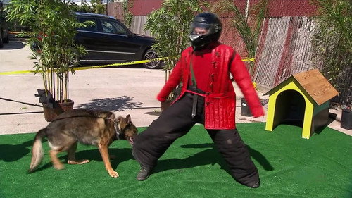 MythBusters - S9E18: Drain Disaster