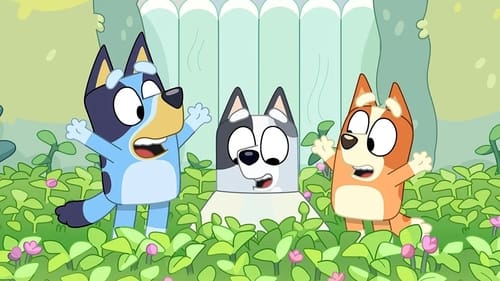 Bluey - S2E43: Muffin Cone