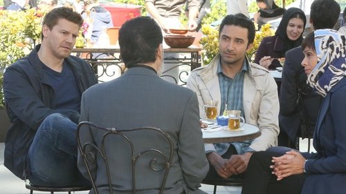 Bones - S10E19: The Murder in the Middle East