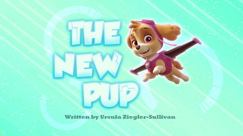 PAW Patrol - S2E14: The New Pup