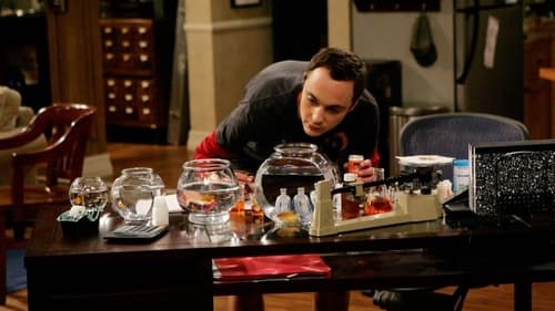 The Big Bang Theory - S1E4: The Luminous Fish Effect