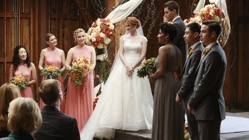 Grey's Anatomy - S10E12: Get Up, Stand Up