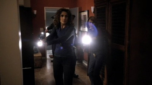 CSI: NY - S6E12: Criminal Justice