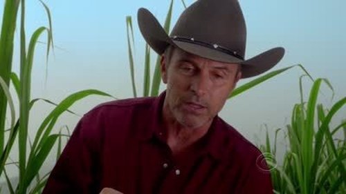 Hawaii Five-0 - S4E2: A‘ale Ma‘a Wau (Fish Out of Water)