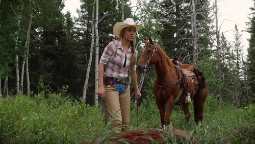 Heartland - S15E5: Blood and Water
