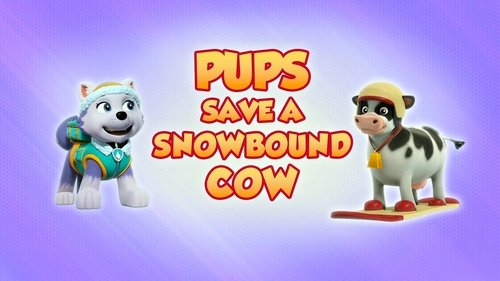 PAW Patrol - S8E2: Pups Save a Snowbound Cow