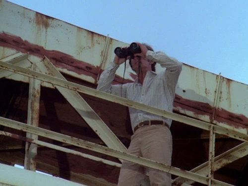 Hawaii Five-O - S12E18: A Bird In Hand...