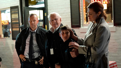 Blue Bloods - S10E8: Friends in High Places