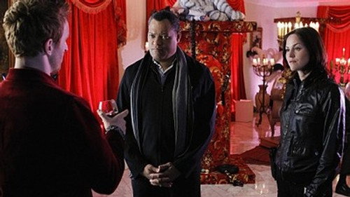 CSI: Crime Scene Investigation - S11E19: Unleashed