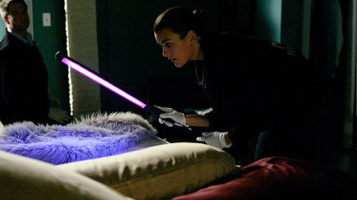 NCIS - S5E4: Identity Crisis