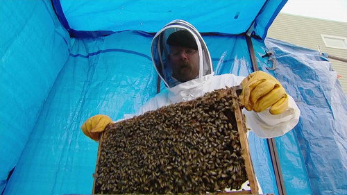 MythBusters - S8E20: Bug Special
