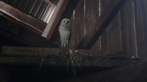 Ghosts - S3E1: The Owl