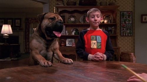 Malcolm in the Middle - S3E17: Dewey's Dog