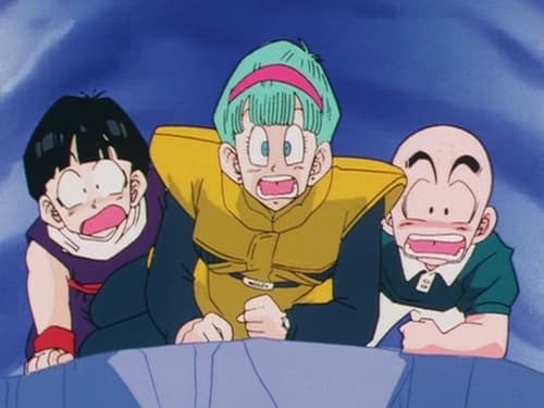 Dragon Ball Z - S2E4: A Friendly Surprise